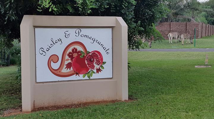 Paisley & Pomegranate