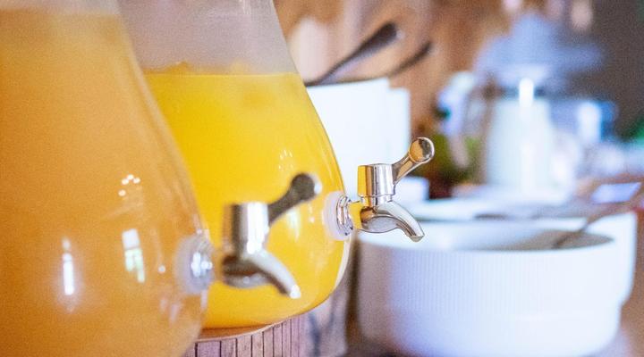 Bakenskraal Ostrich Palace