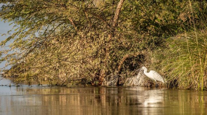 Zambezi King Fisher Lodge