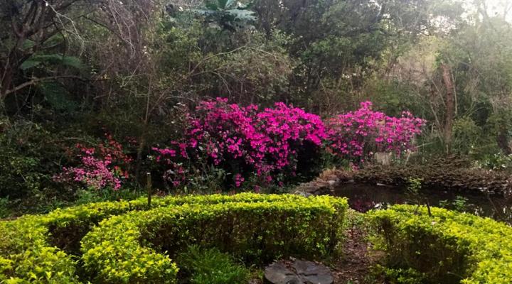 Waterbessiebos Cottage