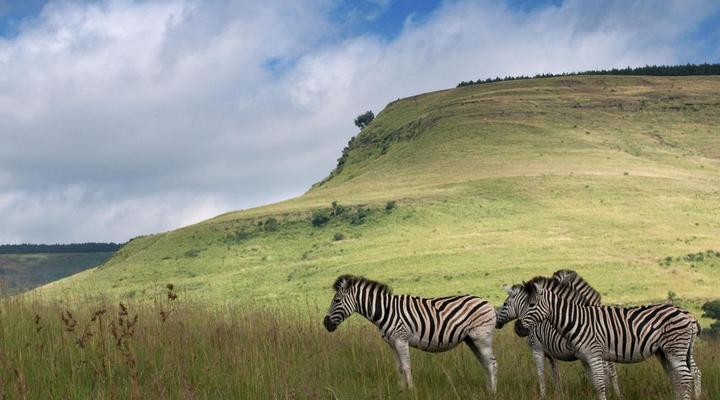 ZuluWaters Game Reserve