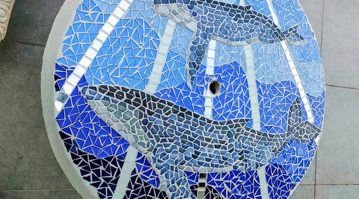 Whales and Sails Family Accommodation