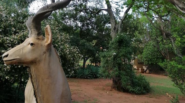 Kettle Guest Lodge Rustenburg