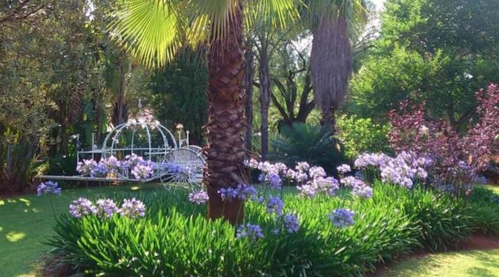 Kettle Guest Lodge Rustenburg