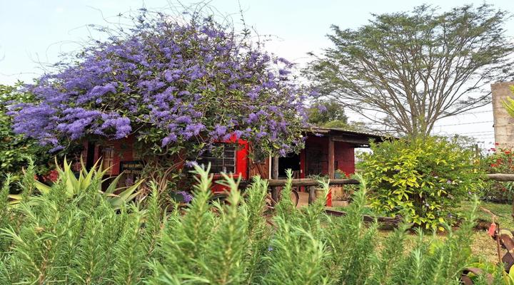 Little Club Getaway@The Hay Barn