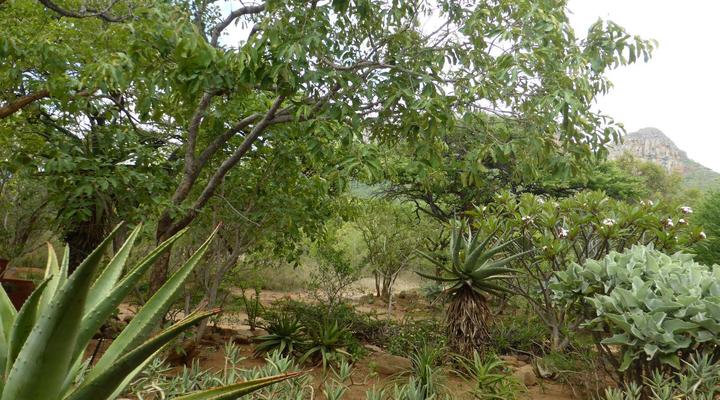 Ukuthula Self Catering Cottages