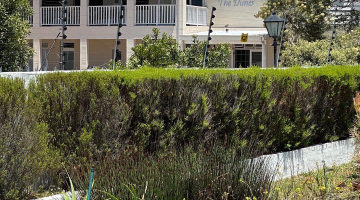 The Dunes Hotel and Resort