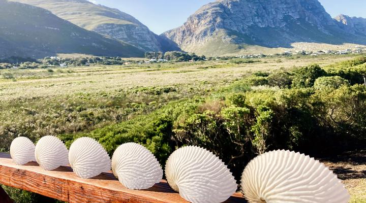 Tobie, Sea and Mountain Views