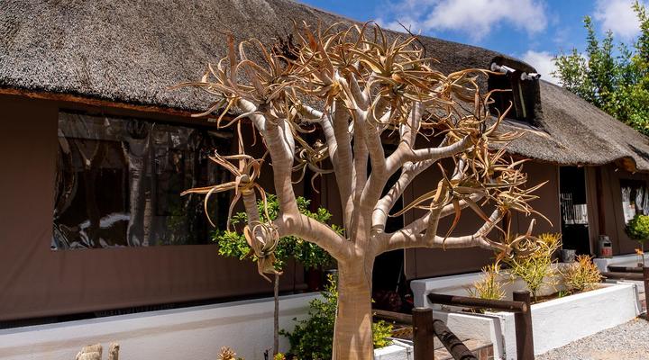 Kleinplasie Gastehuis