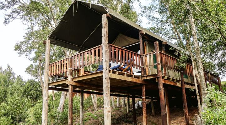 Fernhill Tented Treehouses