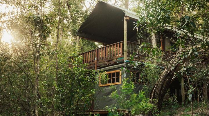 Fernhill Tented Treehouses