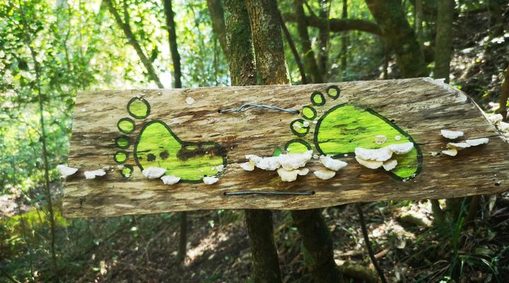 Fernhill Tented Treehouses