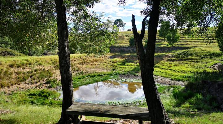 Fernhill Tented Treehouses