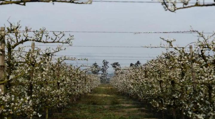 Nooitgedacht Self Catering Cottages