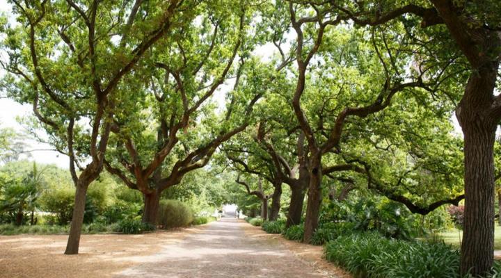 Nooitgedacht Self Catering Cottages