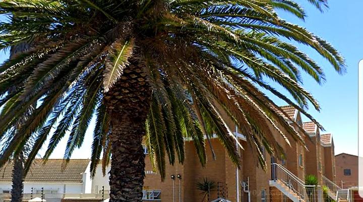 SALTY BREEZE 100m2 Beach-Style Apartment 300m to kite beach