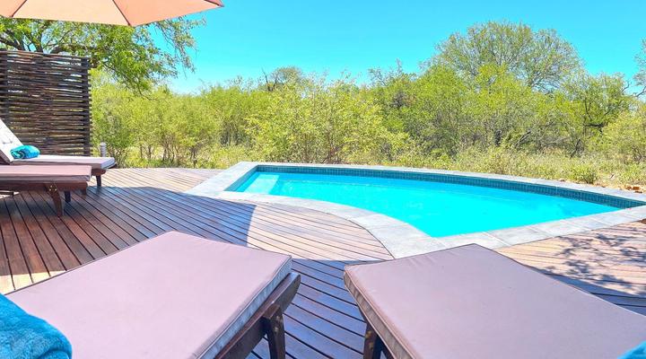 Wild Dog Guest Lodge