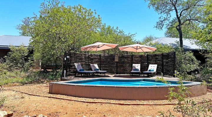 Wild Dog Guest Lodge