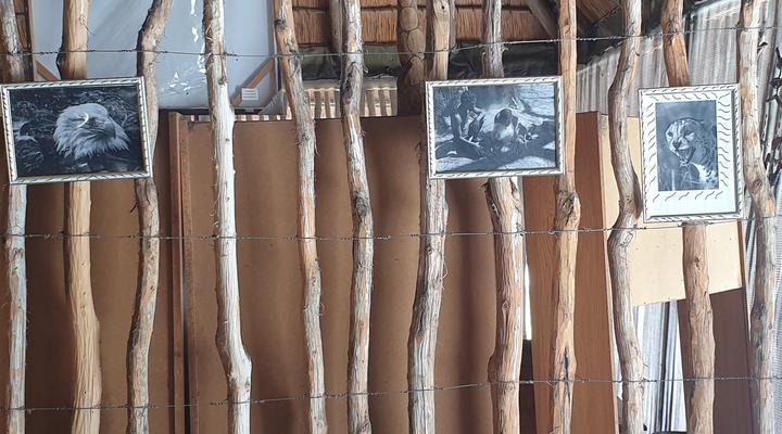 Paradise Camp Grootfontein