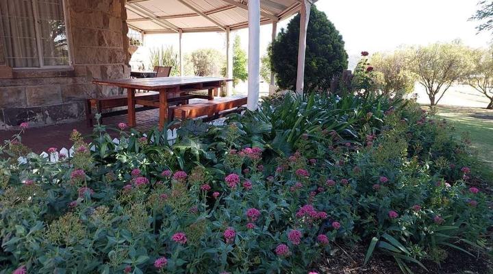 Willowdene Guest Farm