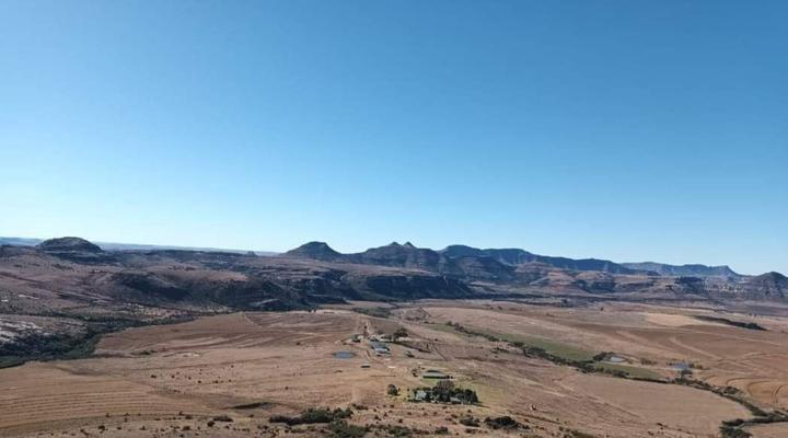 Willowdene Guest Farm