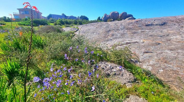 The Boulders Langebaan