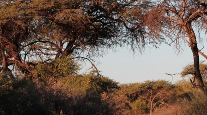 Kathumzi Bed and Breakfast