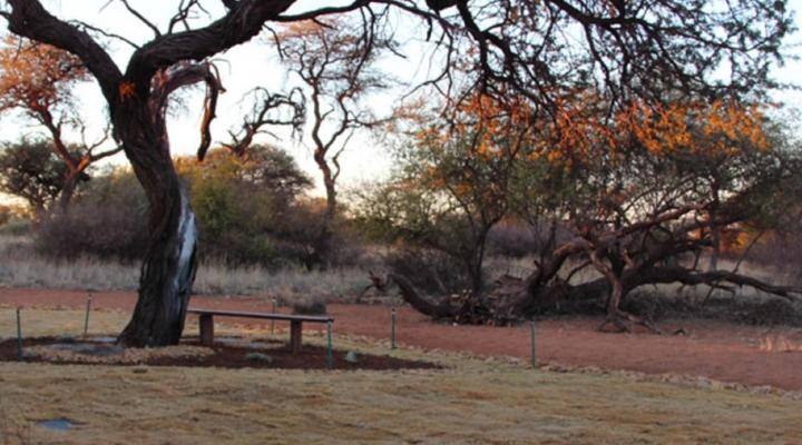 Kathumzi Bed and Breakfast