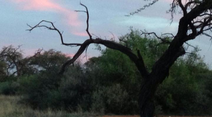 Kathumzi Bed and Breakfast