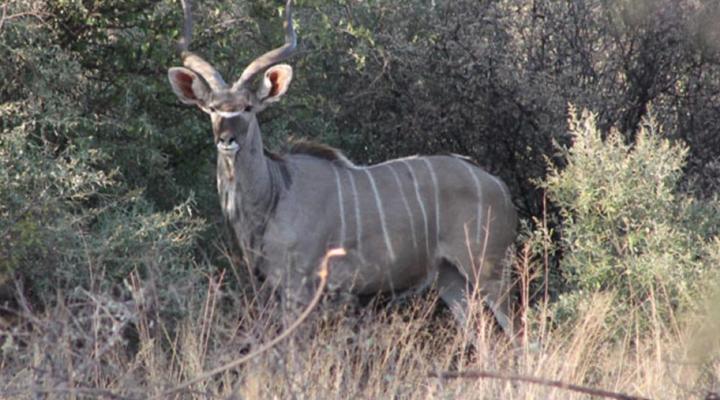 Kathumzi Bed and Breakfast