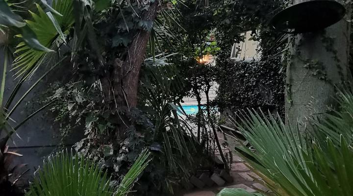 Bono Luxury Guesthouse