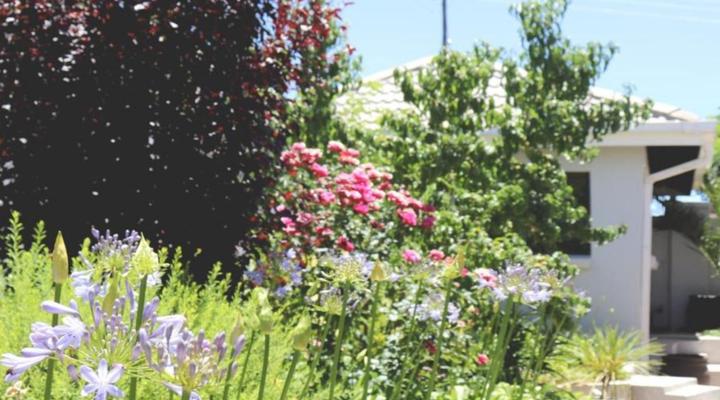 Tribute Guest House Matala