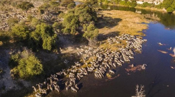 Meno a Kwena Tented Camp