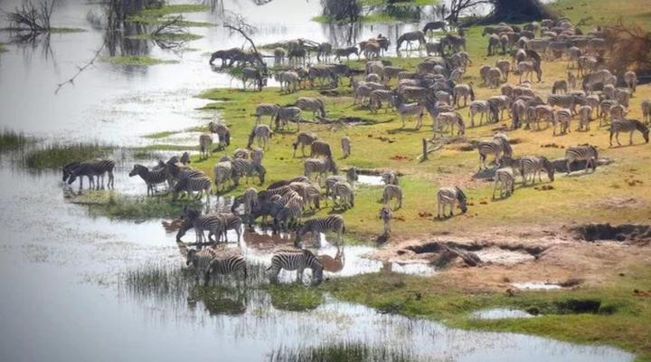 Meno a Kwena Tented Camp