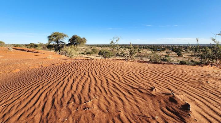 Jansen Kalahari Guest Farm