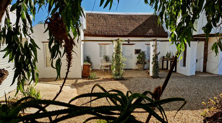Wild Almond Cottage