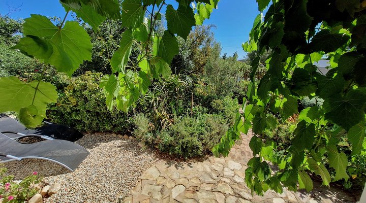 Wild Almond Cottage