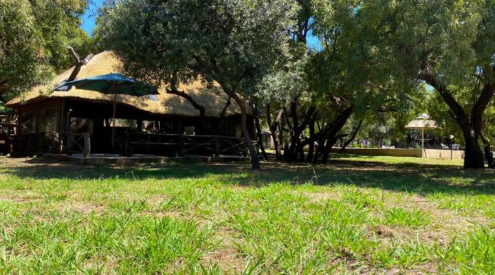 Binne bos gasteplaas