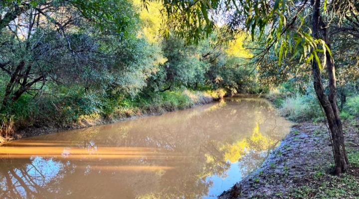 Binne bos gasteplaas