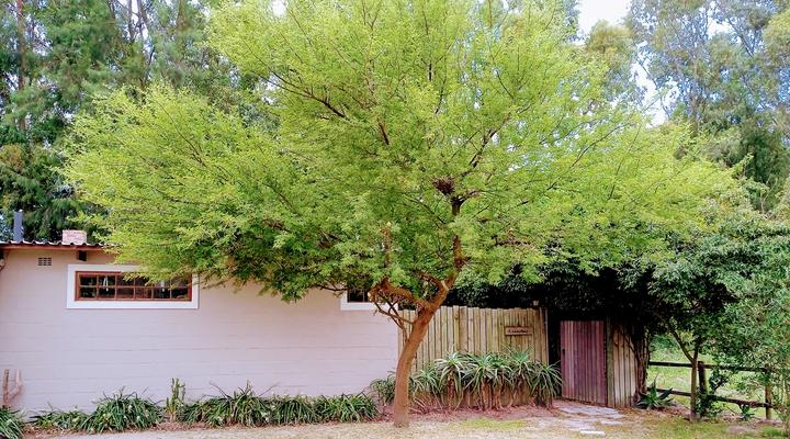 Groendraai Accommodation