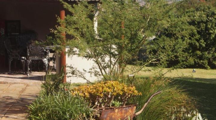 The Fever Tree Guest House