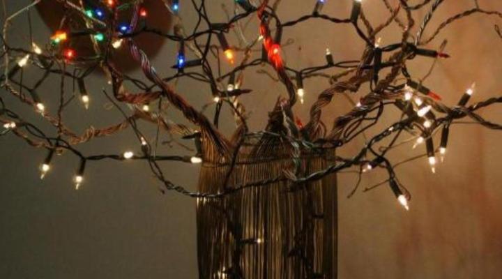 The Fever Tree Guest House