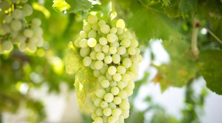 Prince Albert Country Stay