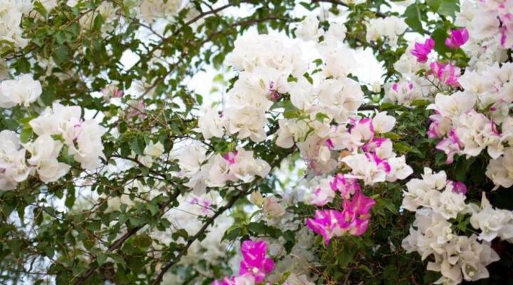 Prince Albert Country Stay