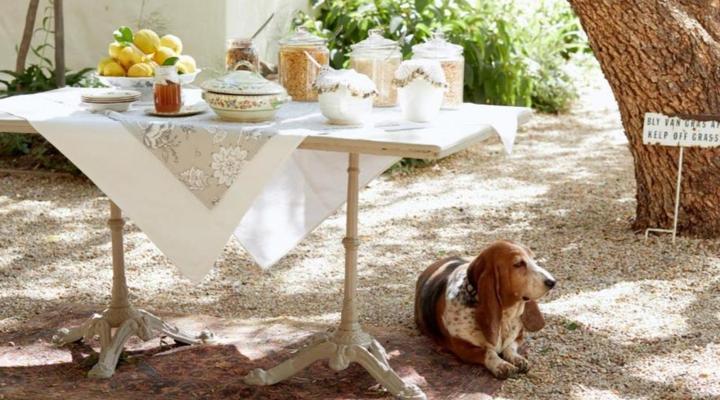 Prince Albert Country Stay