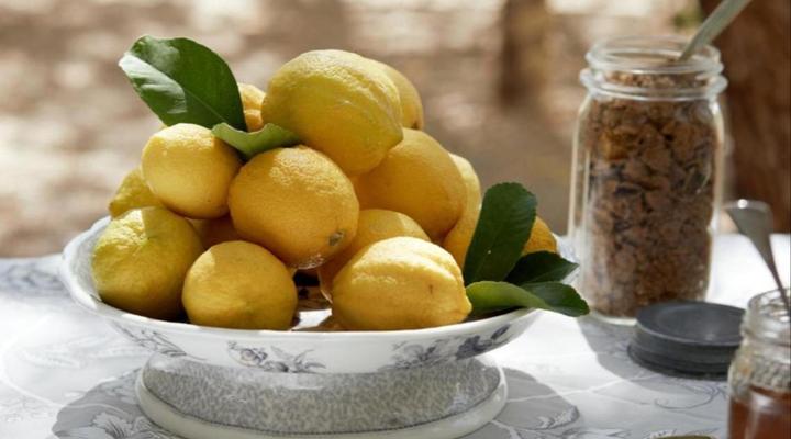 Prince Albert Country Stay