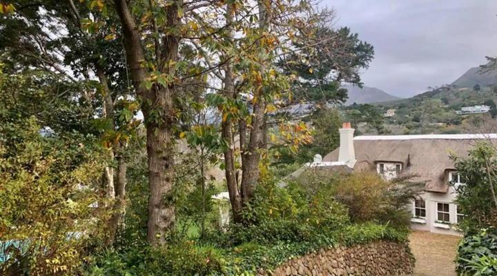 Idyllic Constantia Home