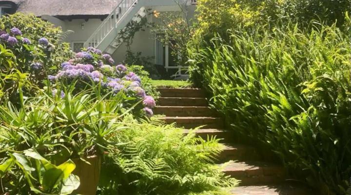 Idyllic Constantia Home