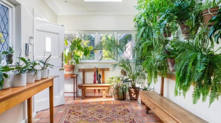 Idyllic Constantia Home