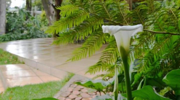 Highveld Splendour Boutique Bed and Breakfast